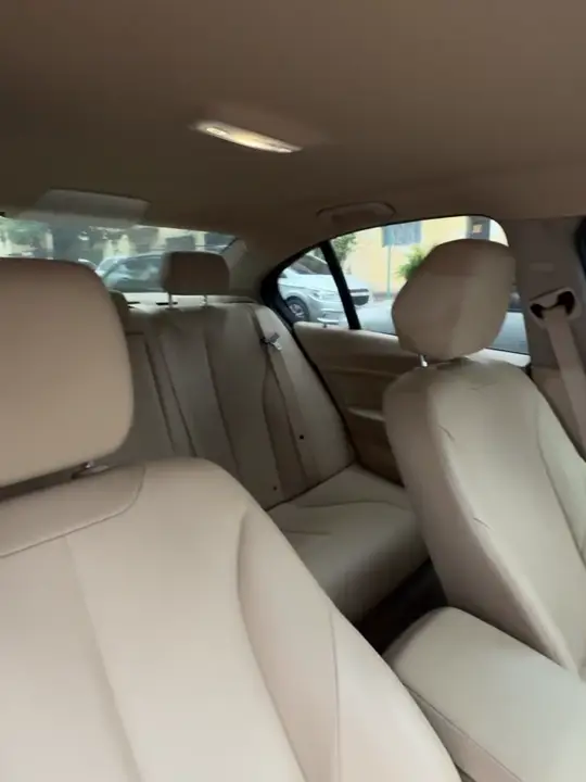 BMW 320i: bancos · teto · volante